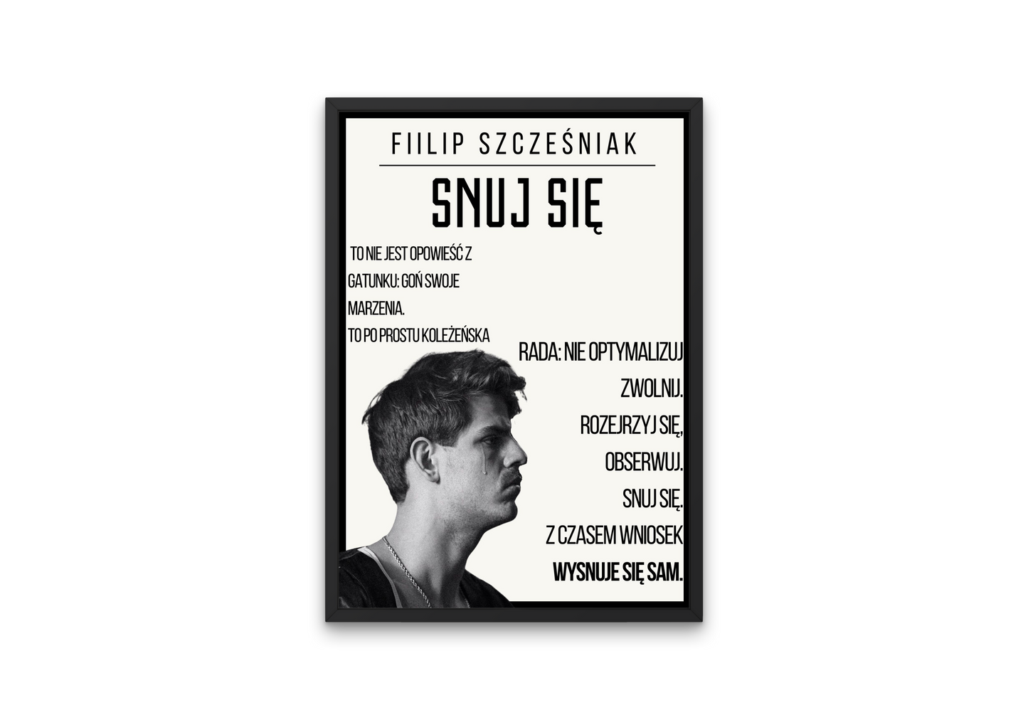 plakat SNUJ SIĘ (TACO)